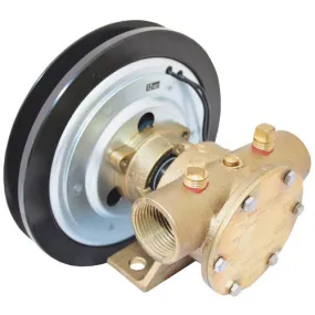 Pump - Bronze Clutch 1" 2A - 24V