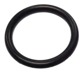 TAYLORS STOVE O RING FOR TANK CAP(PUMP)